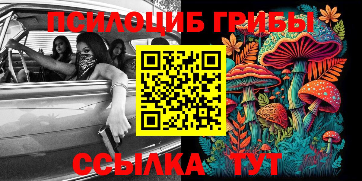 Галлюциногенные грибы Cubensis  Вход с VPN  Галлюциногенные грибы Psilocybine cubensis  Омск 
